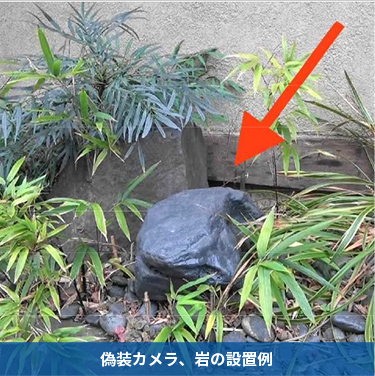 偽装カメラ、岩の設置例