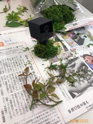 S__32727090.jpg