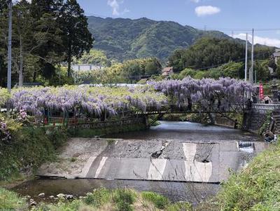 S__63102983.jpg